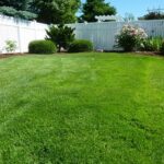 Yard Work Prep: Tips From a Landscaper