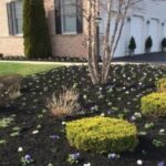 Trends in Landscaping This Year 2021