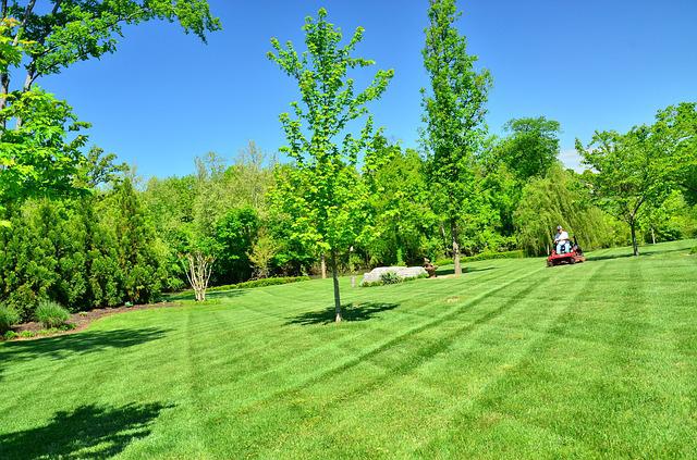 Lawn Care & Maintenance