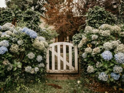 how to plan a cottage garden