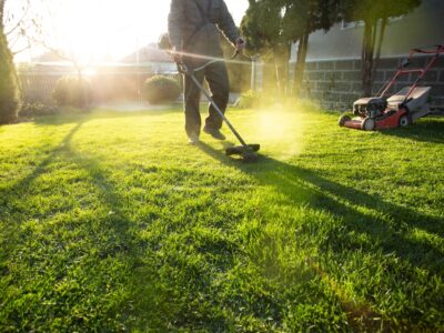 Summer Landscaping