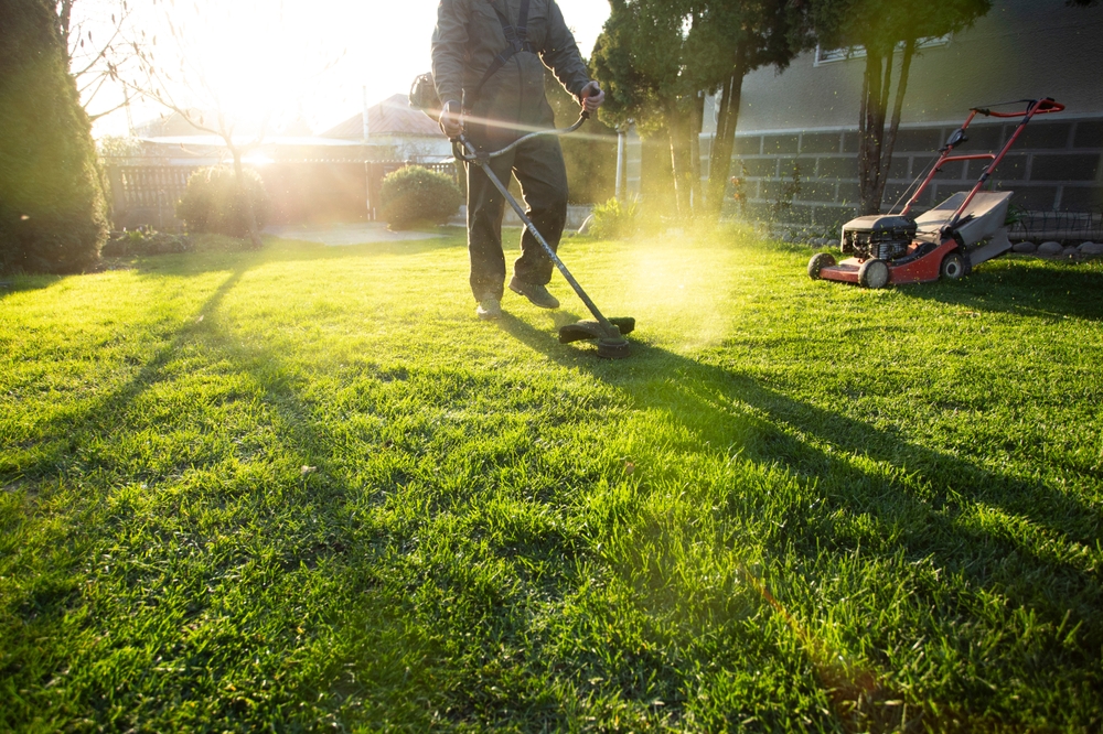 Summer Landscaping 