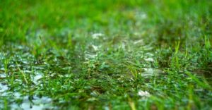 Dealing With a Flooded Yard: A Guide from John Bohonyi