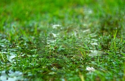 Dealing With a Flooded Yard: A Guide from John Bohonyi